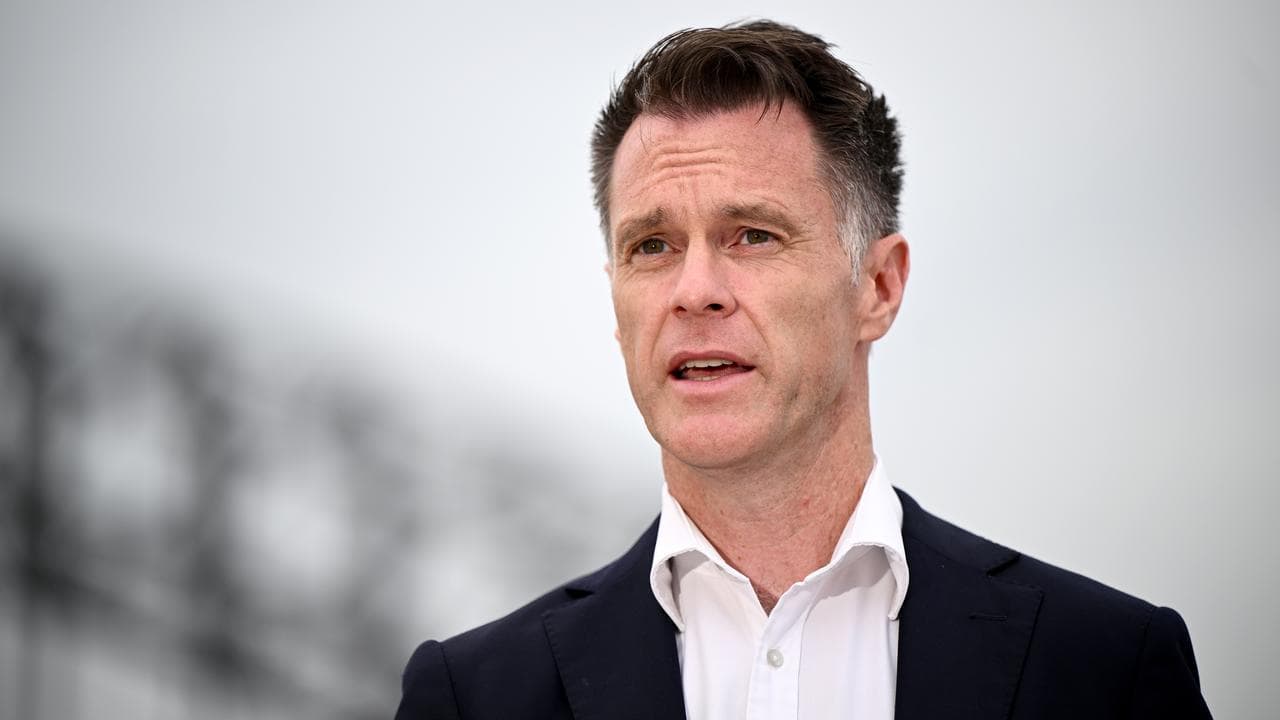 NSW Premier Chris Minns (file image)
