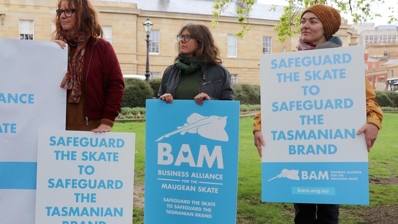 Protesters want to save the skate ray (file image)