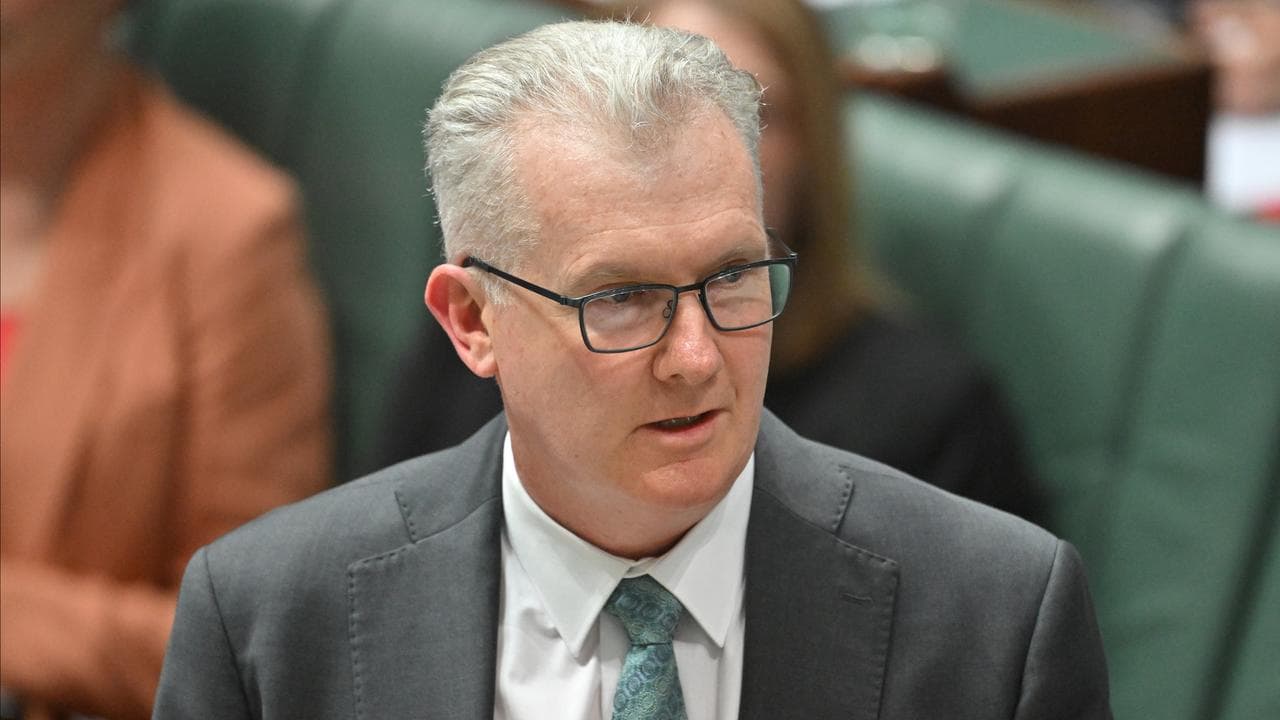 Home Affairs  Minister Tony Burke
