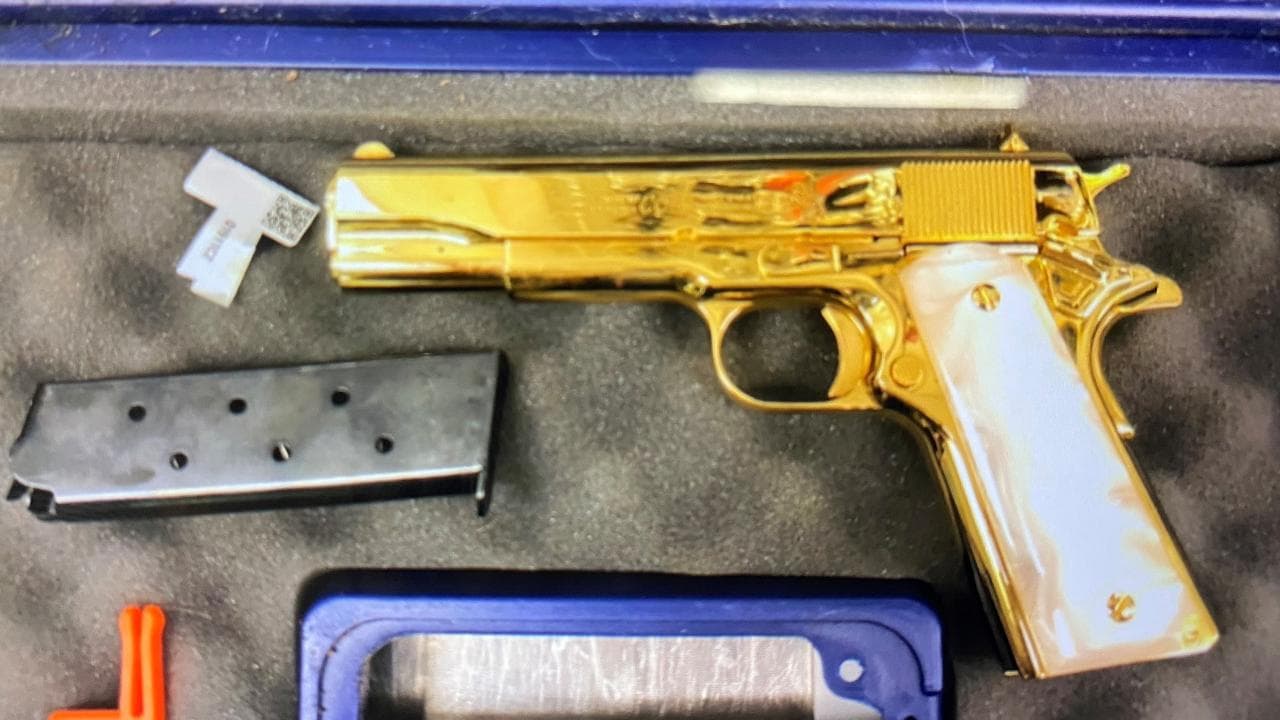 Gold-plated handgun found in Liliana Goodson's luggage
