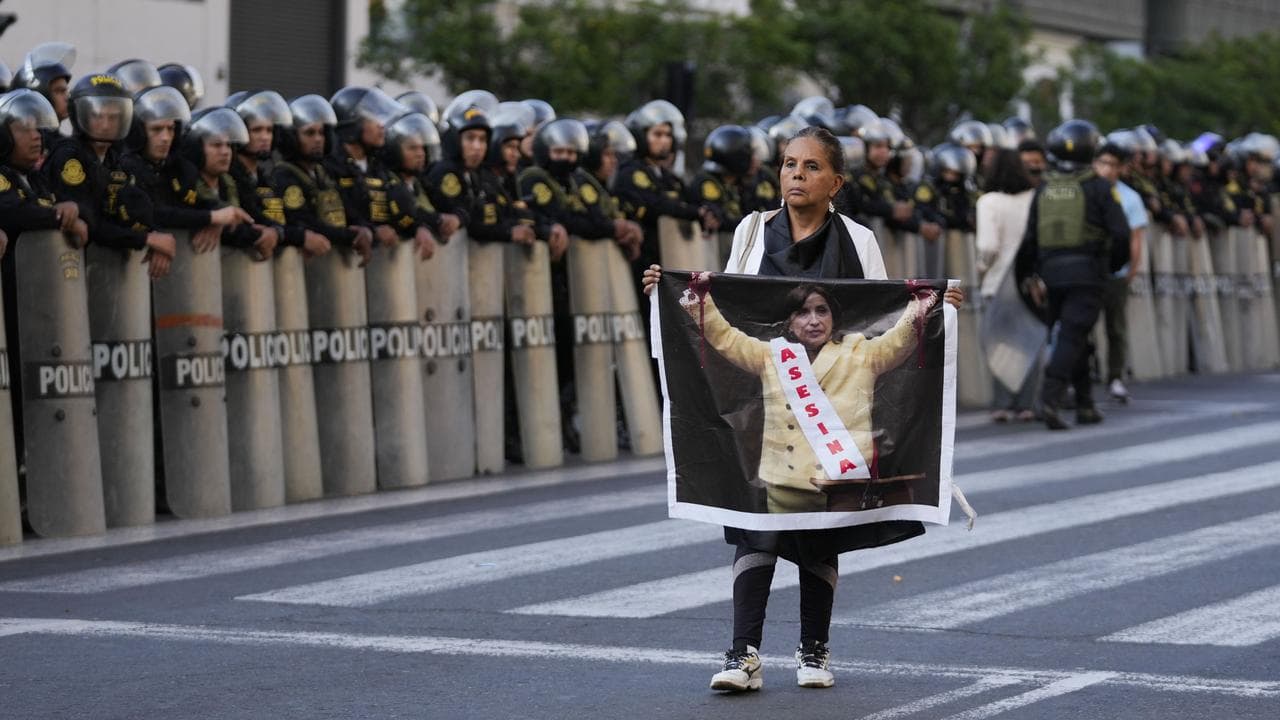 An anti-government protester on the sidelines of the APEC summit