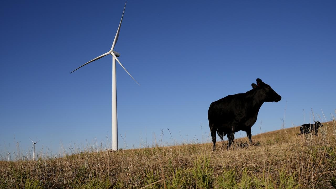 Climate COP29 Energy