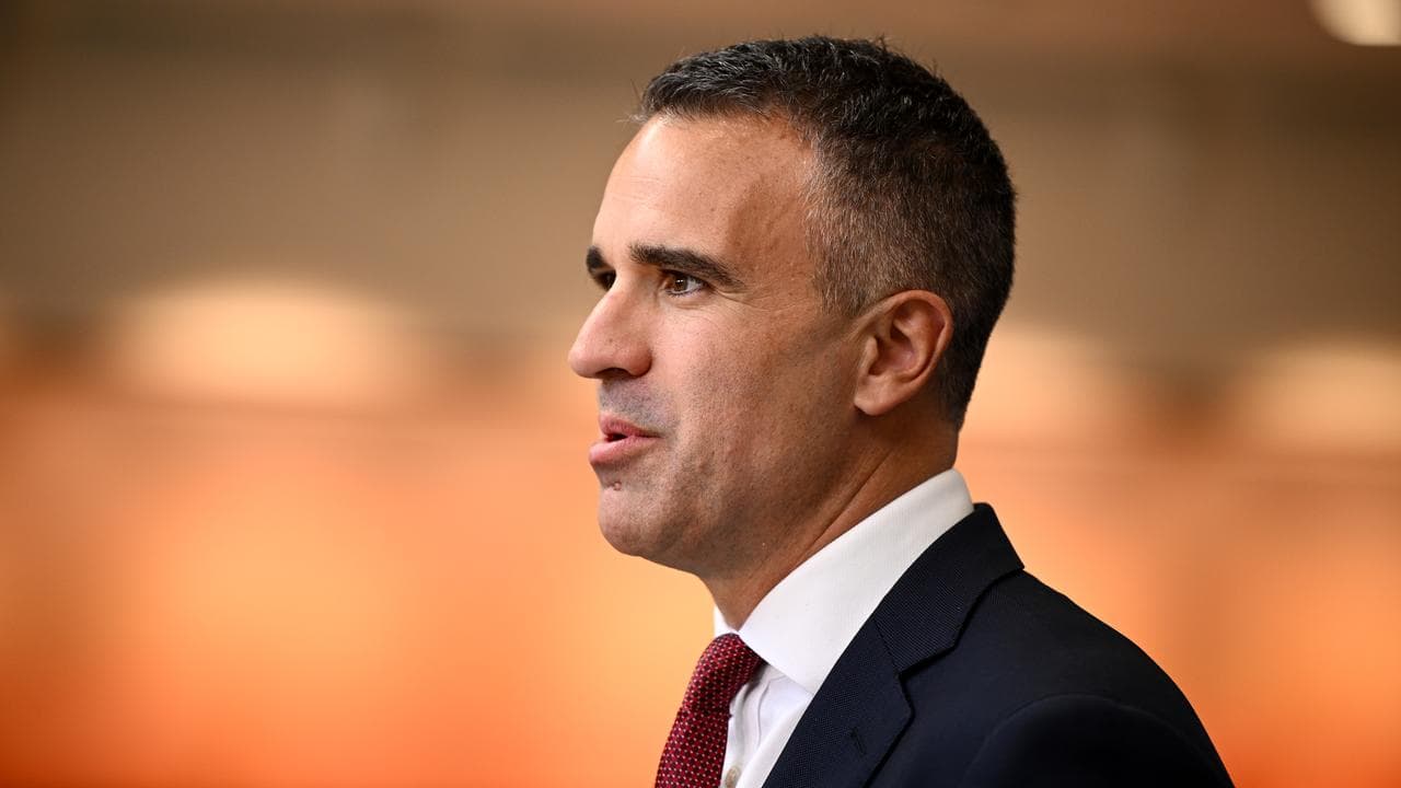 South Australia Premier Peter Malinauskas (file image)