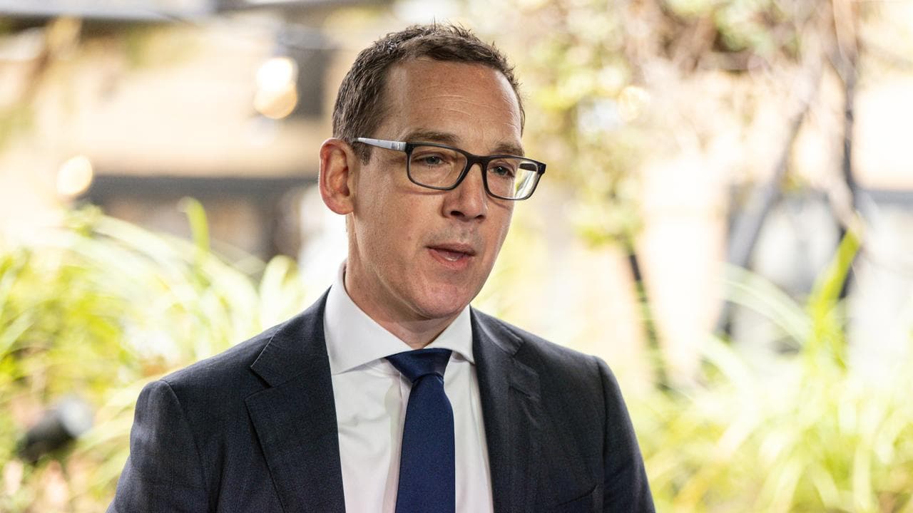 Victorian minister Steve Dimopoulos