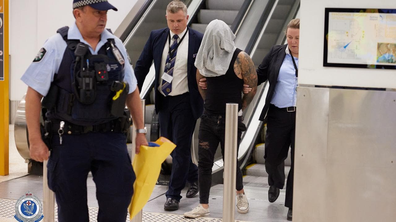 Le Nghia Andy Pham's arrest (file image)