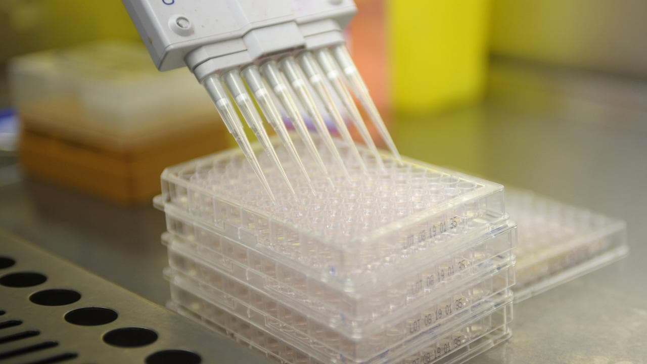 A medical research procedure in a lab.