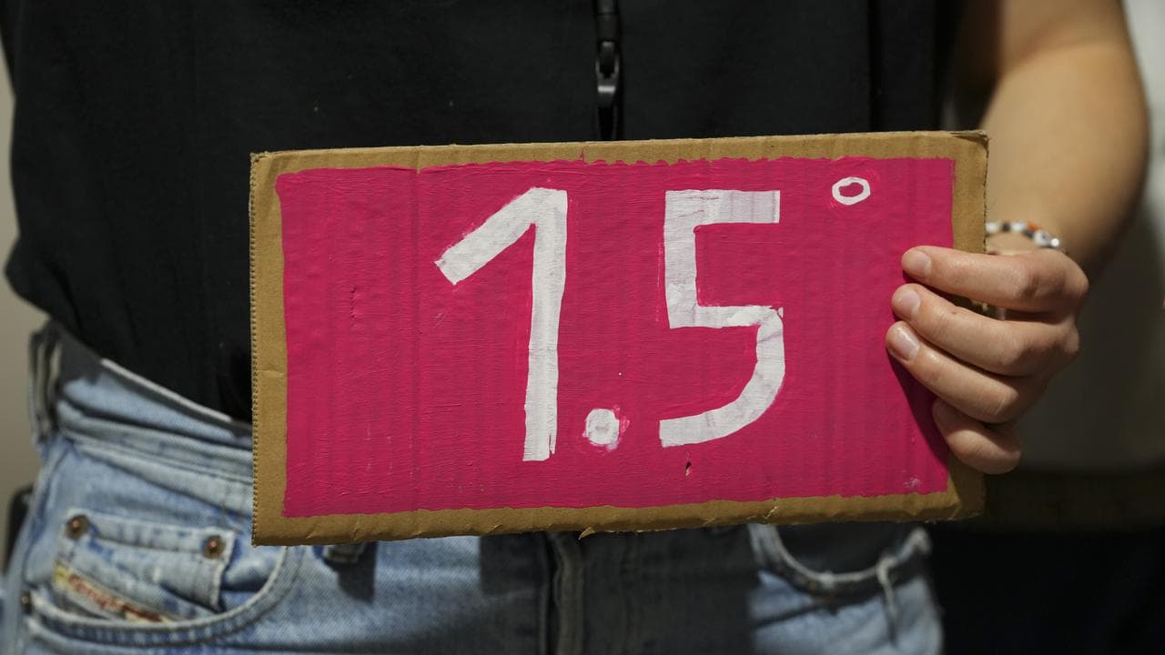 COP29 Climate Summit