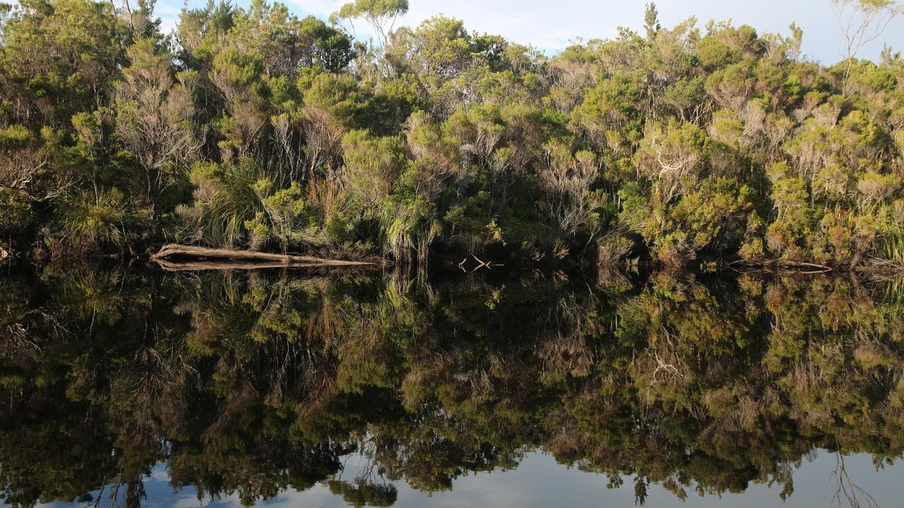 Tasmanian wilderness