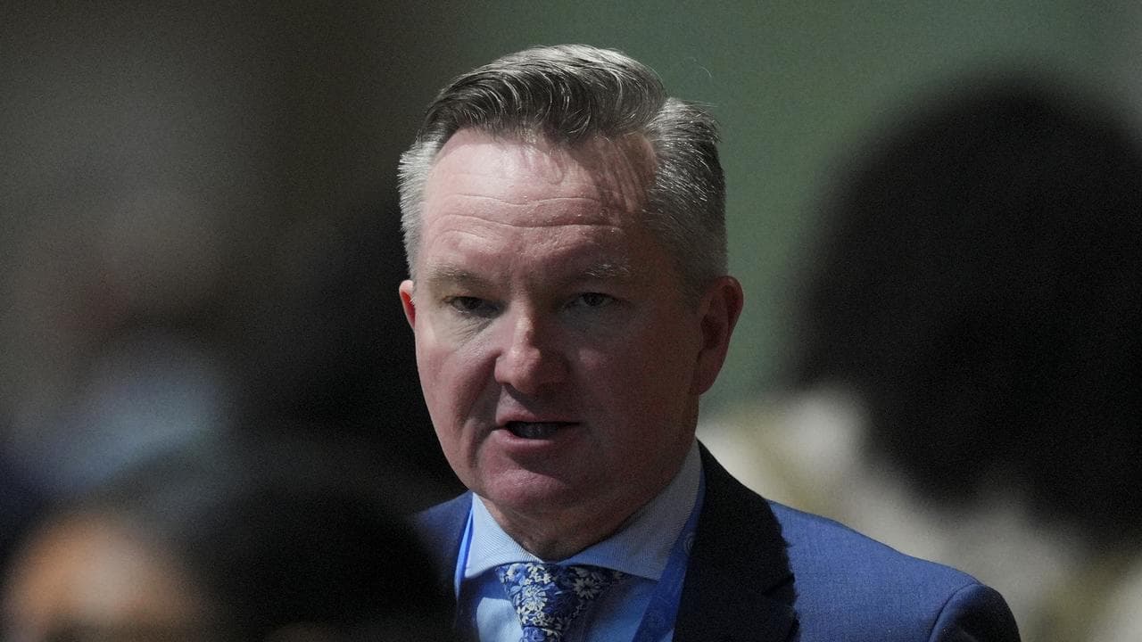 Climate Minister Chris Bowen at a plenary session at the COP29