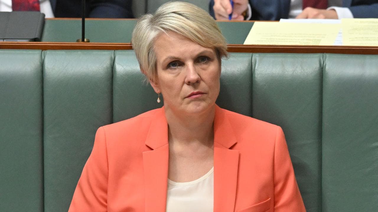 Environment Minister Tanya Plibersek (file image)