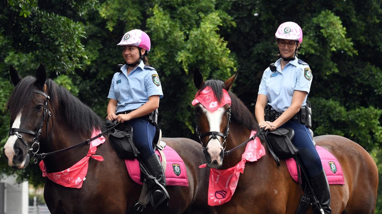 NSW mounted Police Officers