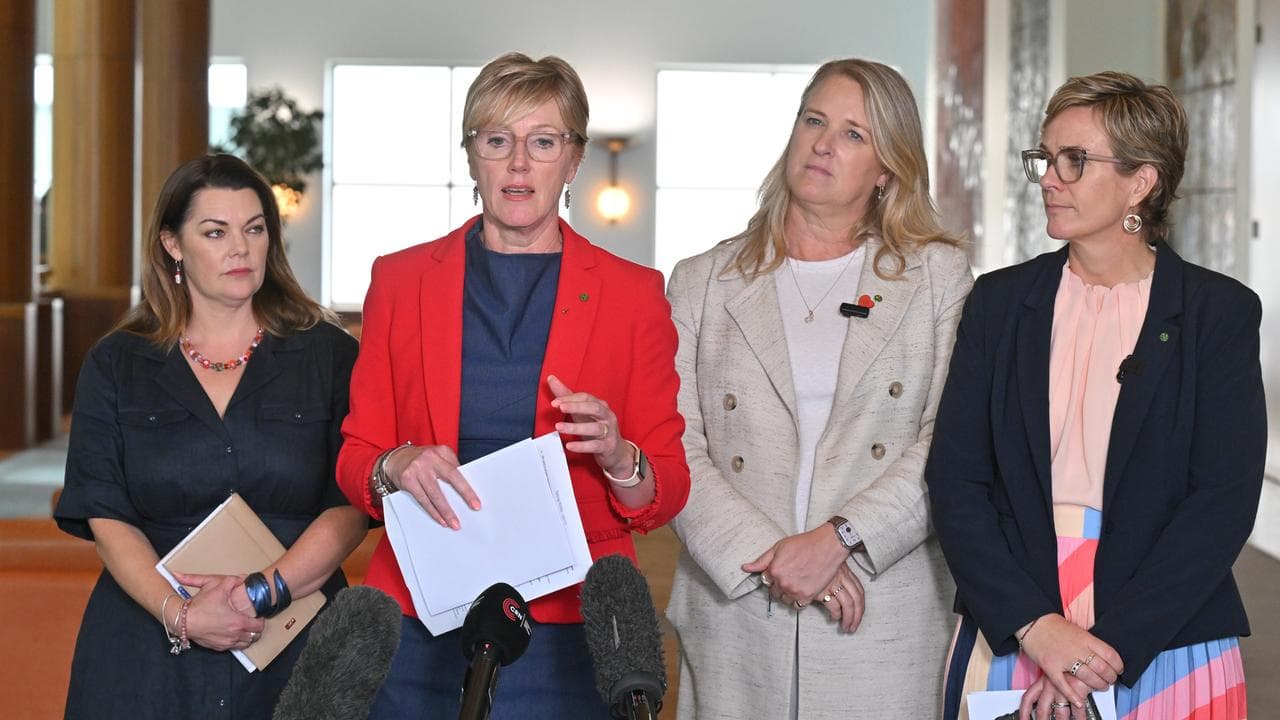 Sarah Hanson-Young, Zoe Daniels, Kylea Tink and Zali Steggall
