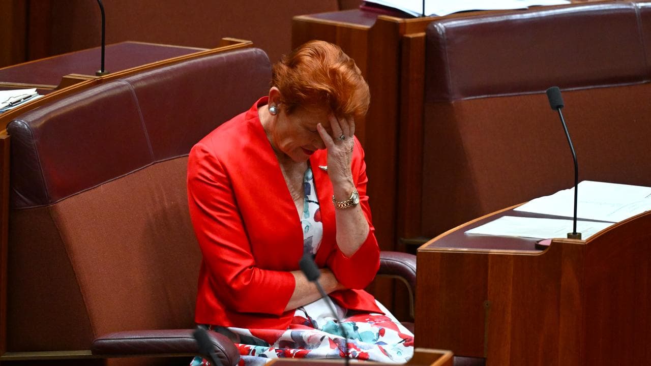 One Nation Senator Pauline Hanson