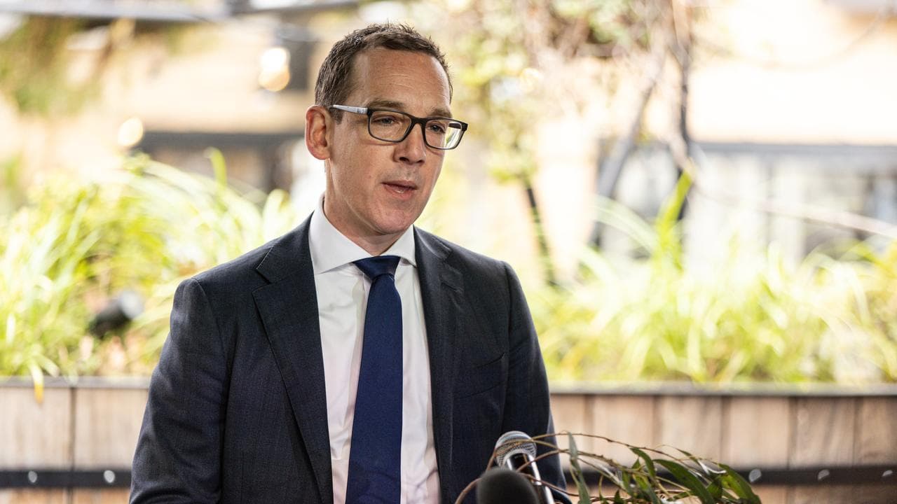 Tourism Minister Steve Dimopoulos