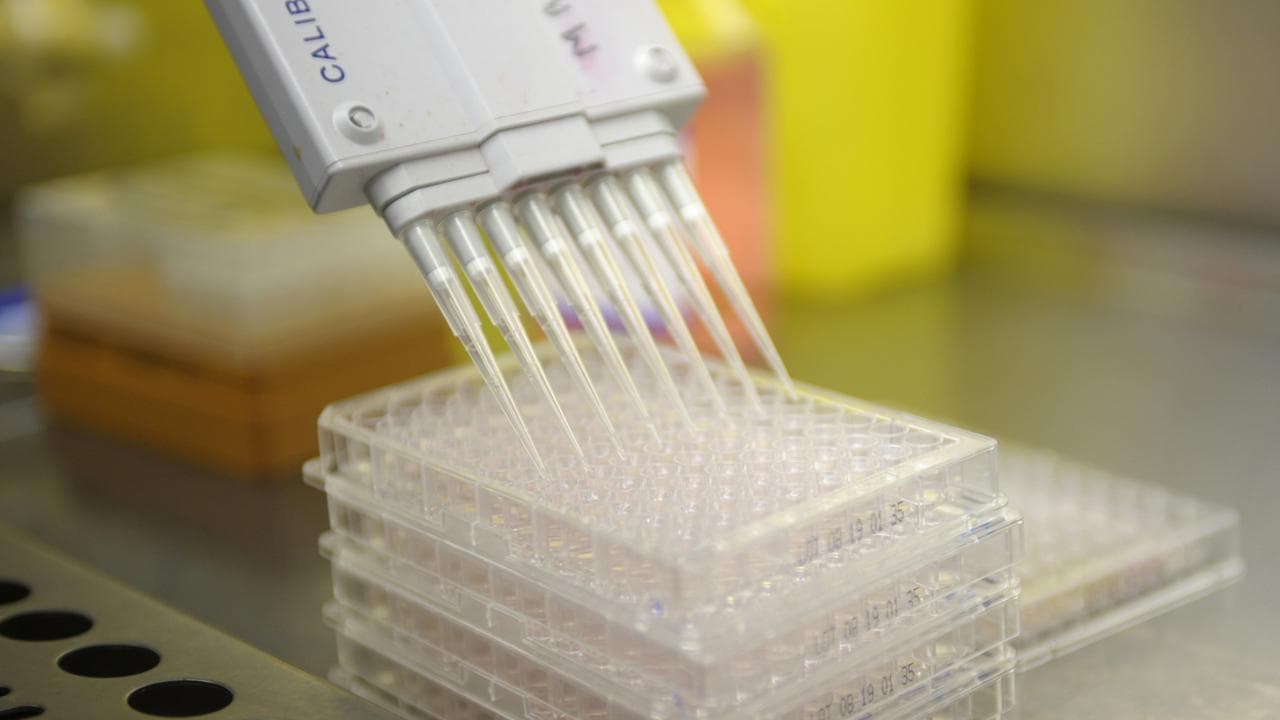 A medical research procedure 