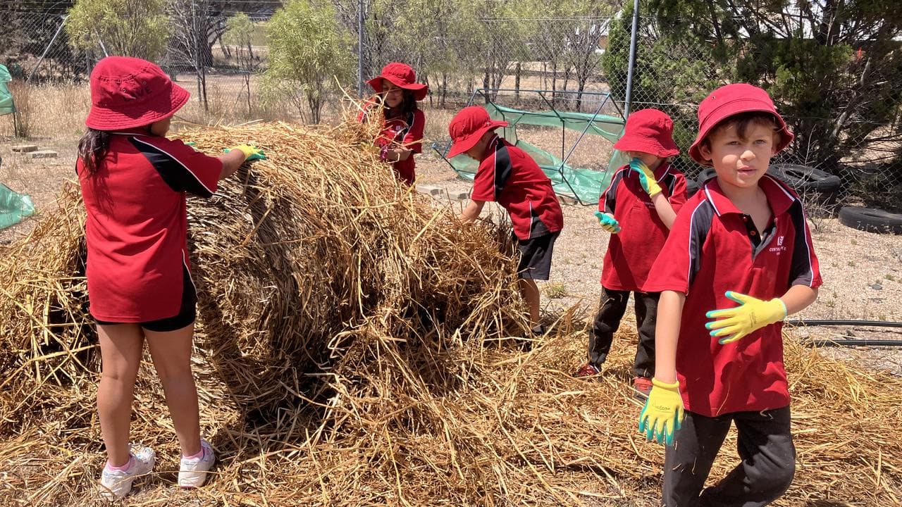 Point Pearce students work on the First Nations garden.