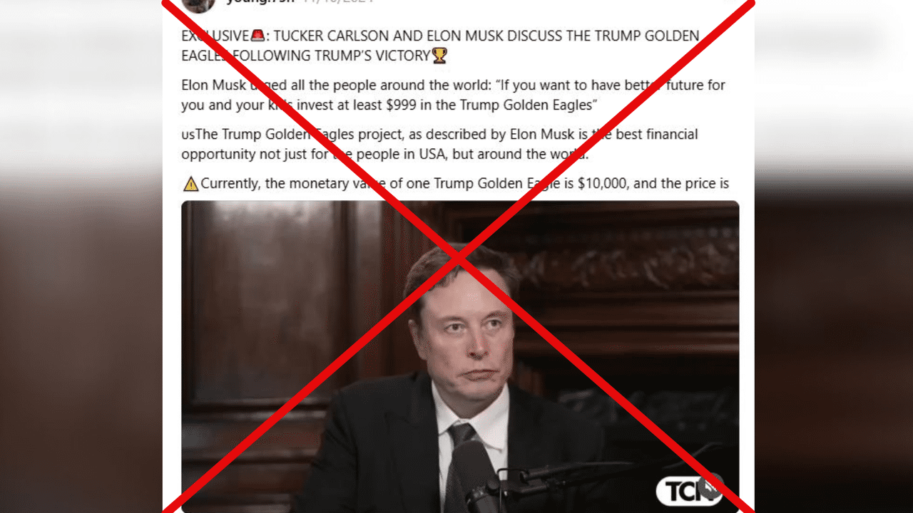 Screenshot of a manipulated video featuring Elon Musk.