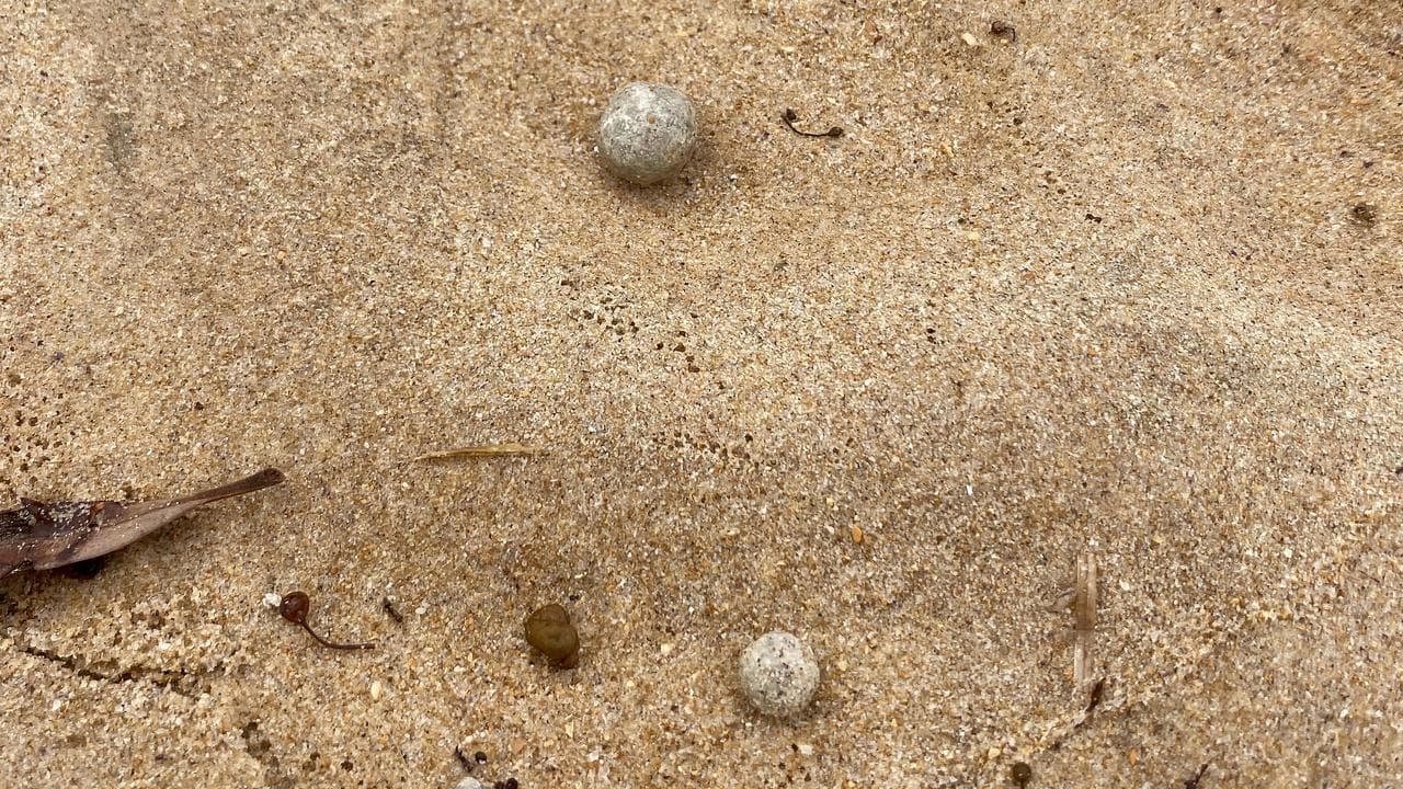 A supplied image of ball-shaped debris found at NSW beaches
