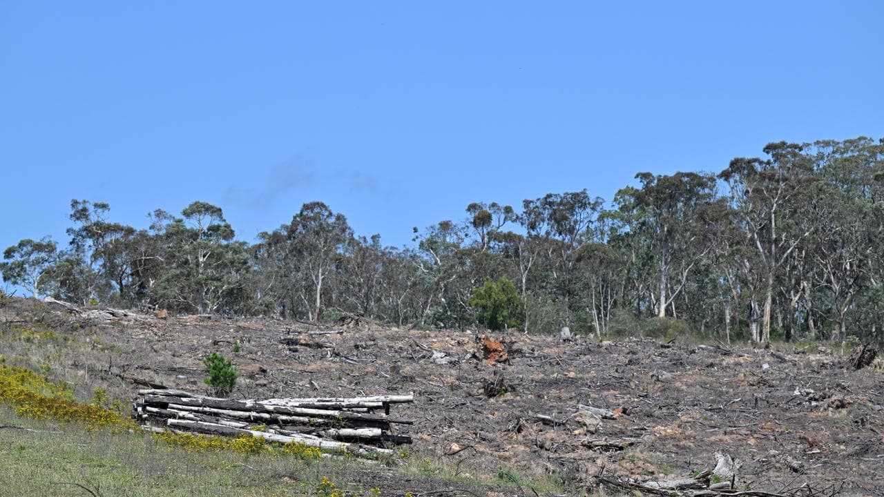 Land clearing