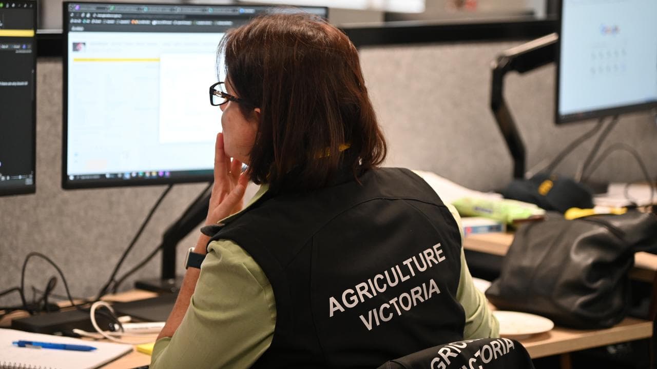 An Agriculture Victoria worker at a computer in an office.
