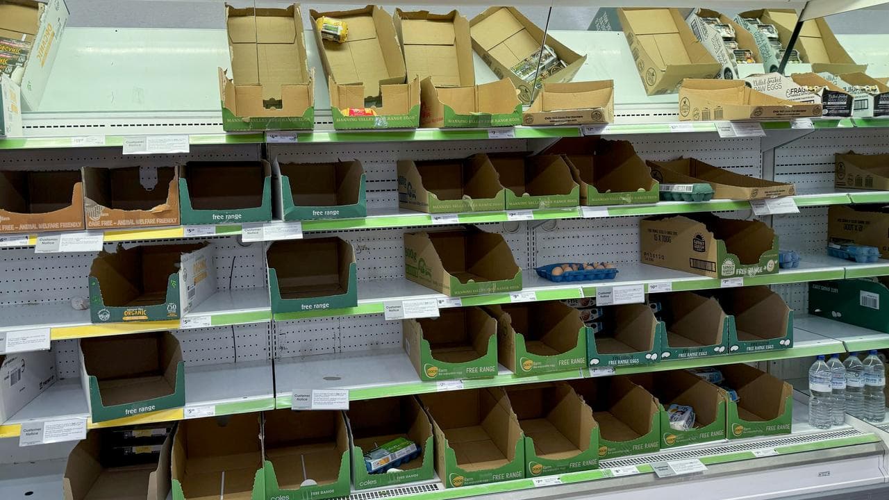 A shortage of eggs at a supermarket in June 2024.