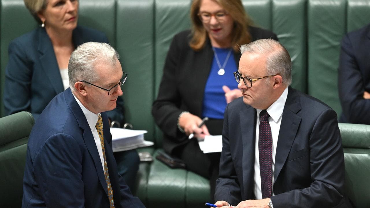 Anthony Albanese  speaks to the Leader of the House Tony Burke