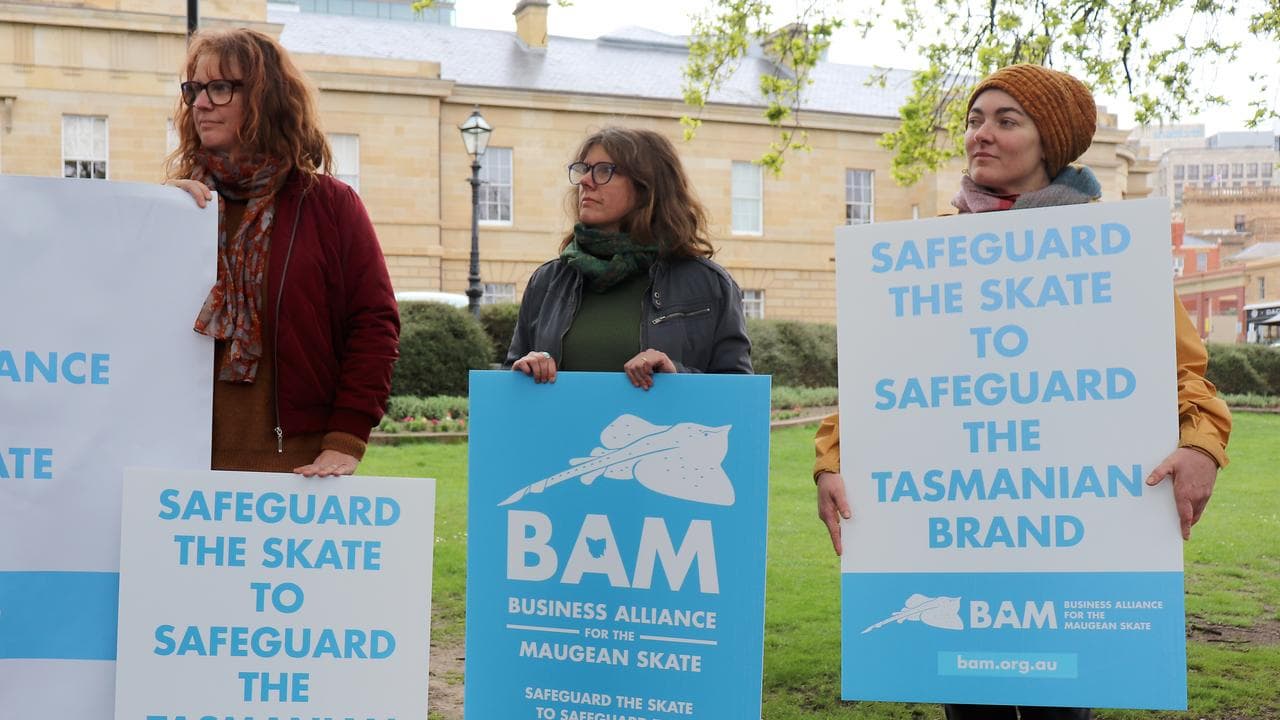 Environmental advocates want a dinosaur fish protected