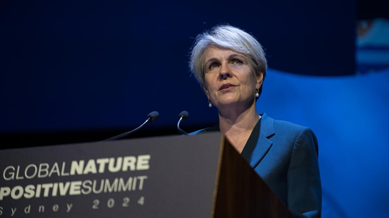 Environment Minister Tanya Plibersek