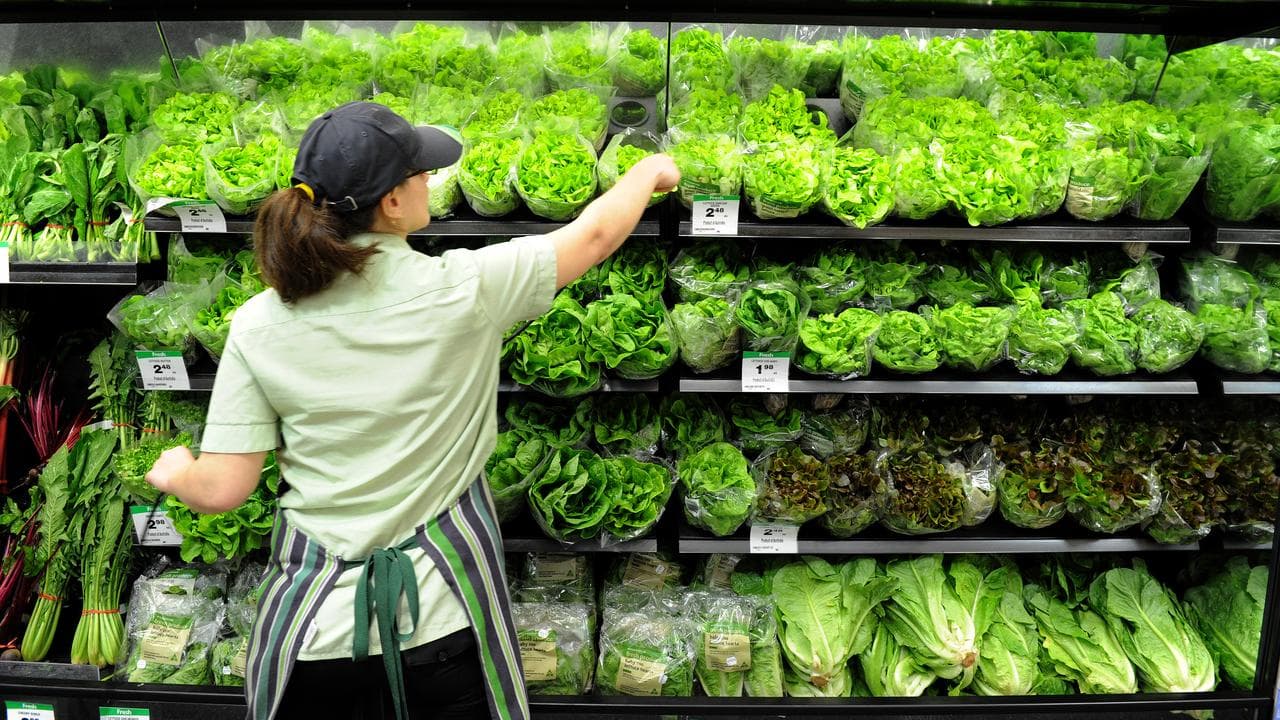 Supermarket worker stocks lettuce