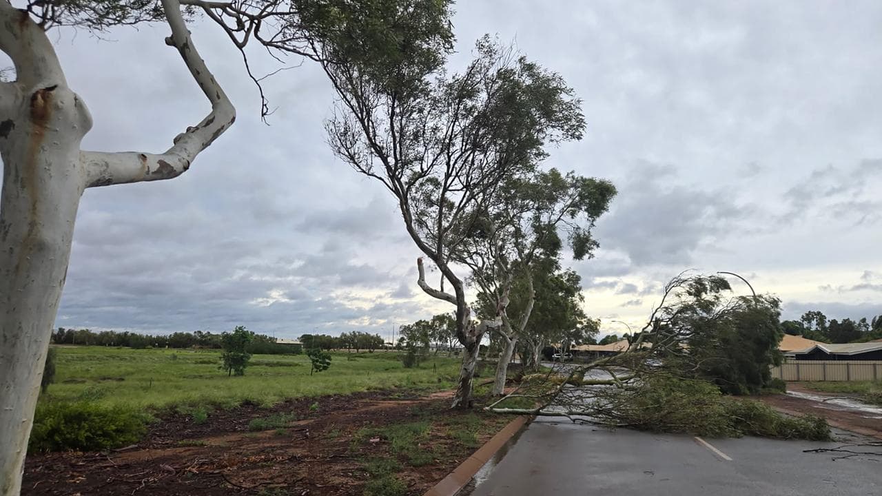 Cyclone damage
