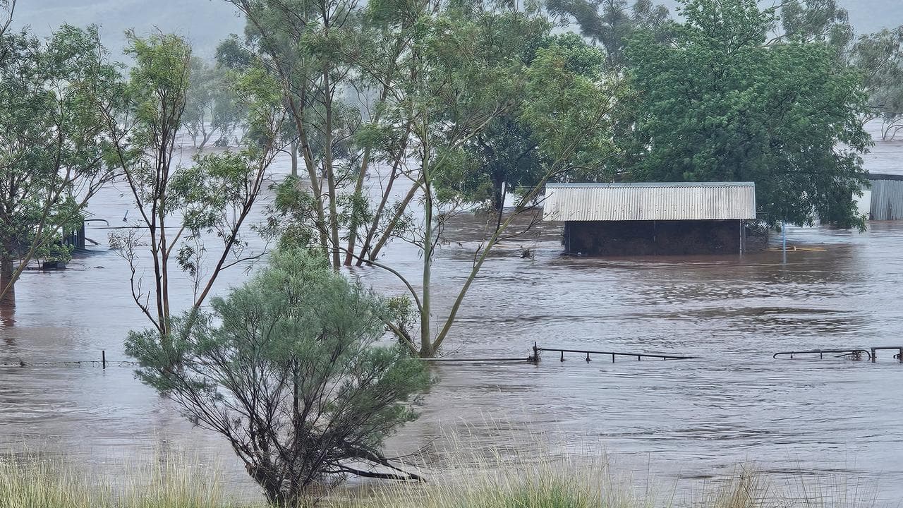 WEATHER TROPICAL CYCLONE ZELIA