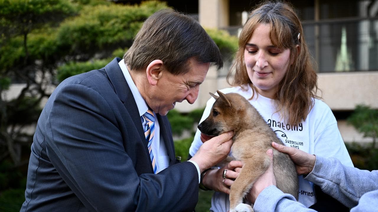 Local Government Minister Ron Hoenig (file)