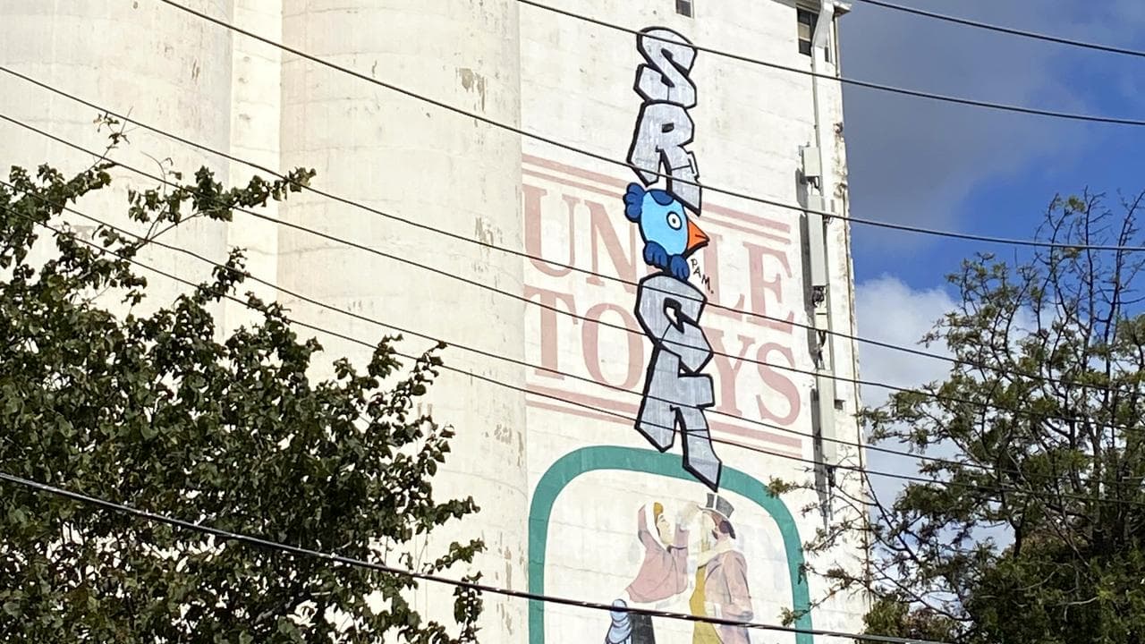 Pam the Bird and Srock graffiti (file)