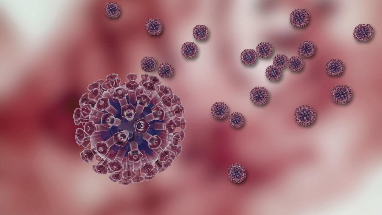 A diagram of the chickenpox virus.