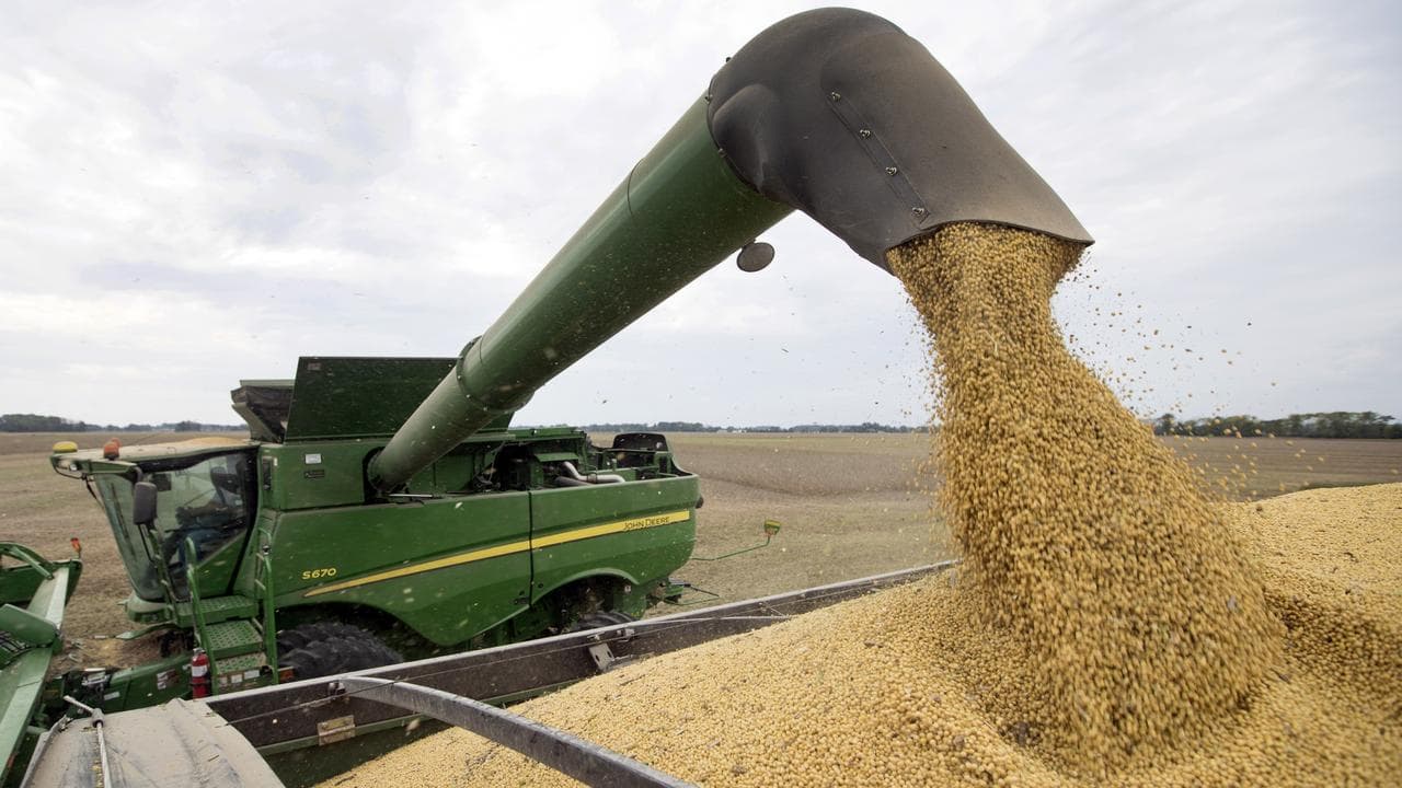 Soybean harvest in Brownsburg, Indiana
