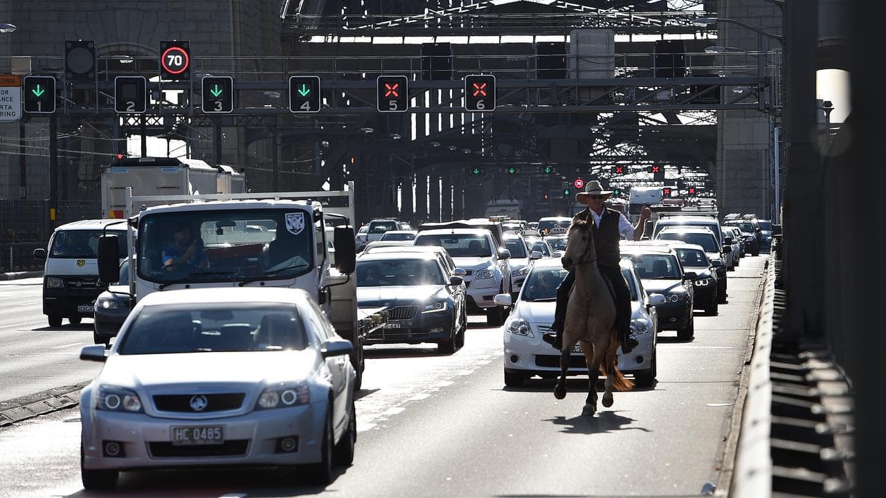 Beef farmer Glenn Morris rides his horse over Sydney Harbour Bridge.