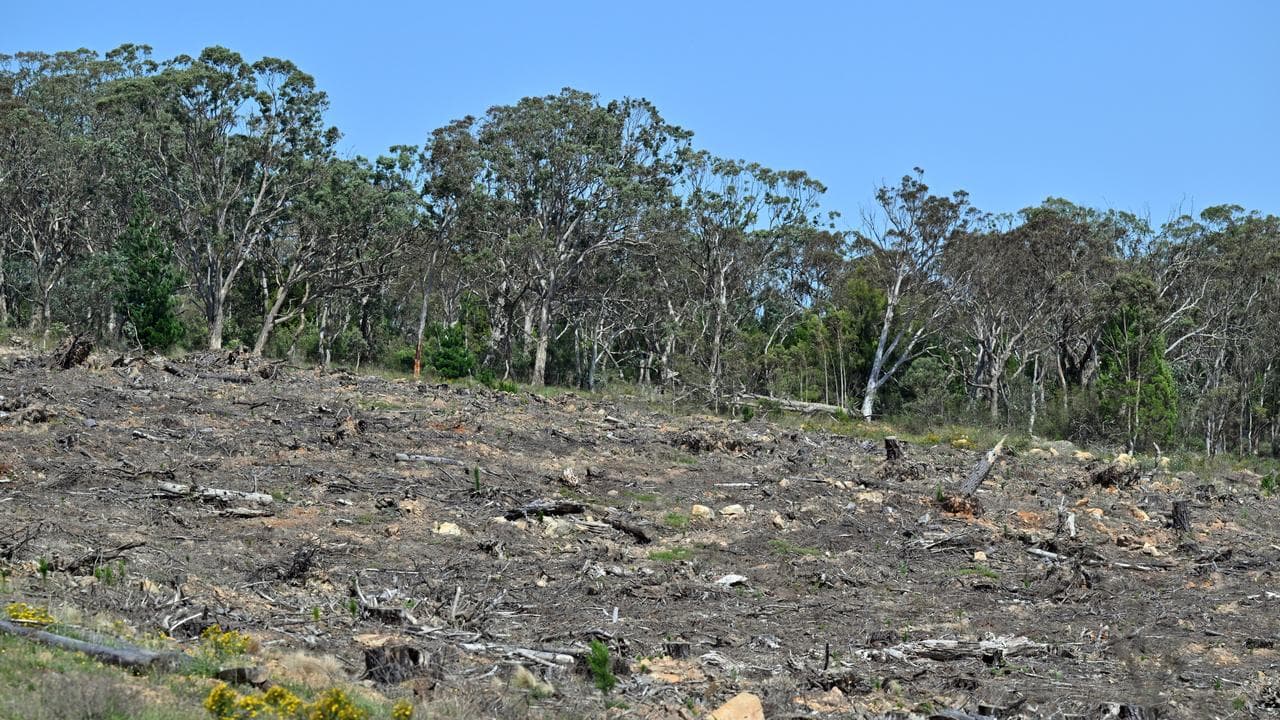 A view of land clearing in NSW.