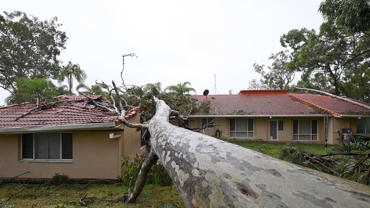 Tree fallen on home