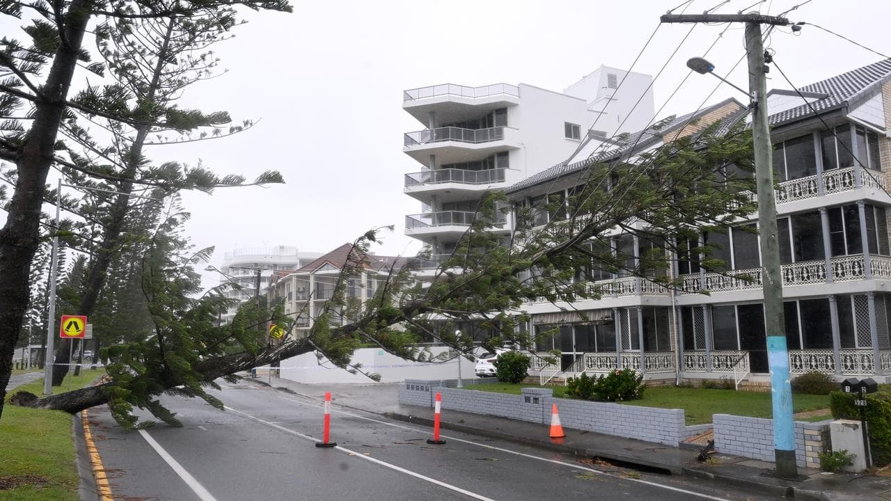 Fallen trees over powerlines at Labrador on the Gold Coast
