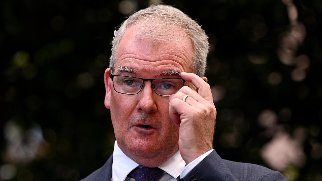 NSW Attorney-General Michael Daley (file image)
