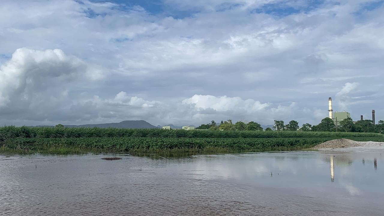 TWEED VALLEY FLOODED CROPS AFTERMATH