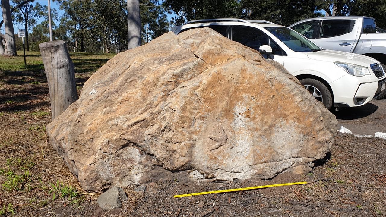 A boulder with dinosaur footprints