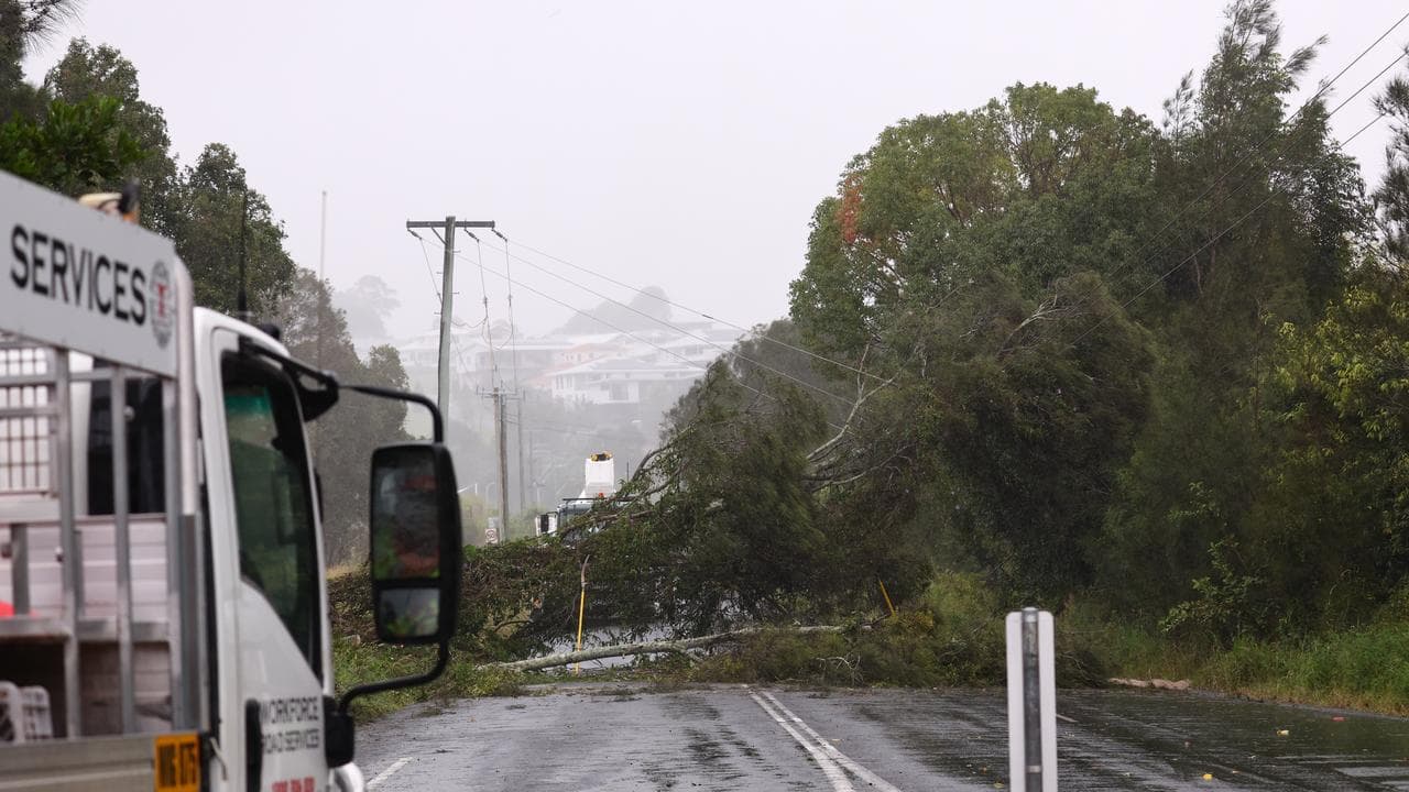 Damaged power lines from a fallen tree during Cyclone Alfred