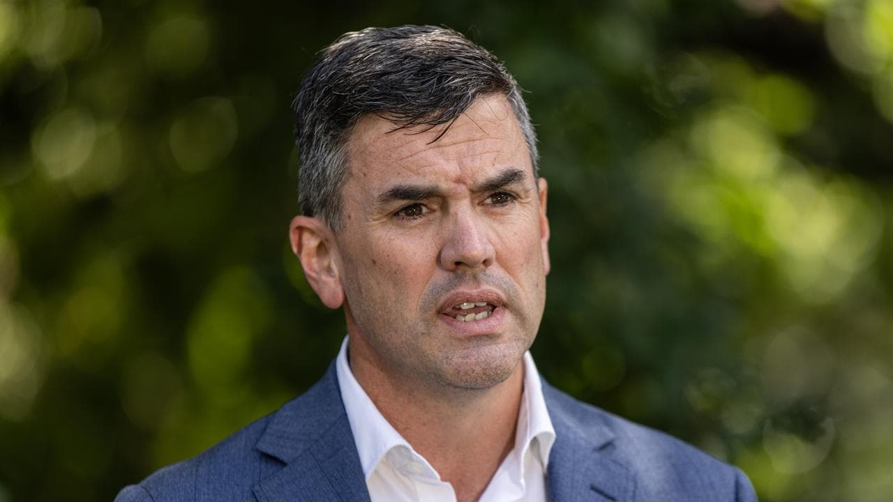 Victorian Opposition Leader Brad Battin (file image)