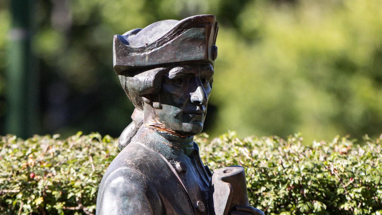 A vandalised Captain Cook statue (file image)