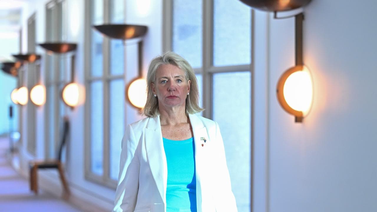 Opposition Infrastructure Minister Bridget McKenzie