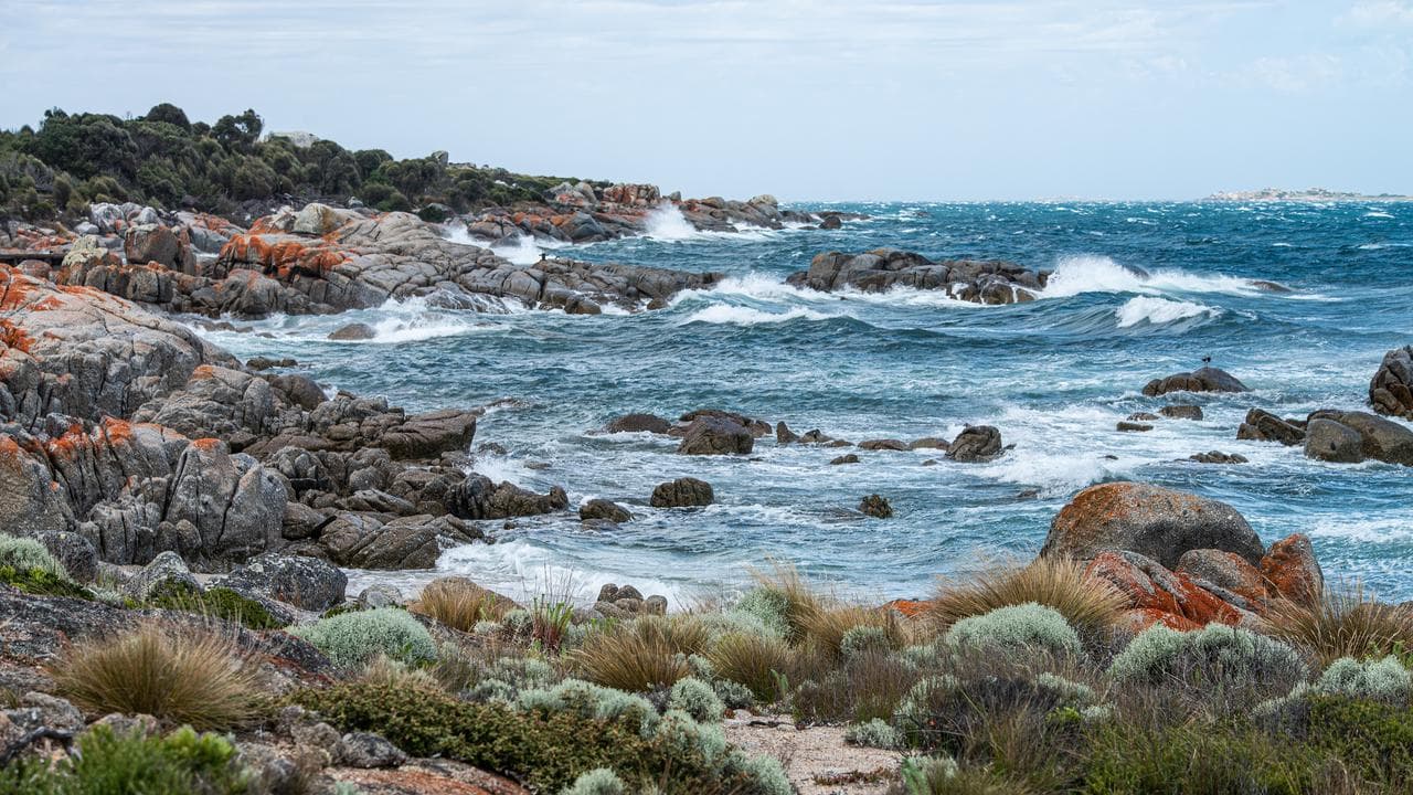 The coast of Lungtalanana Island