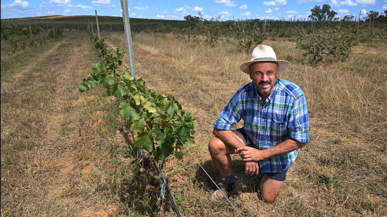 David Lowe at Lowe Wines