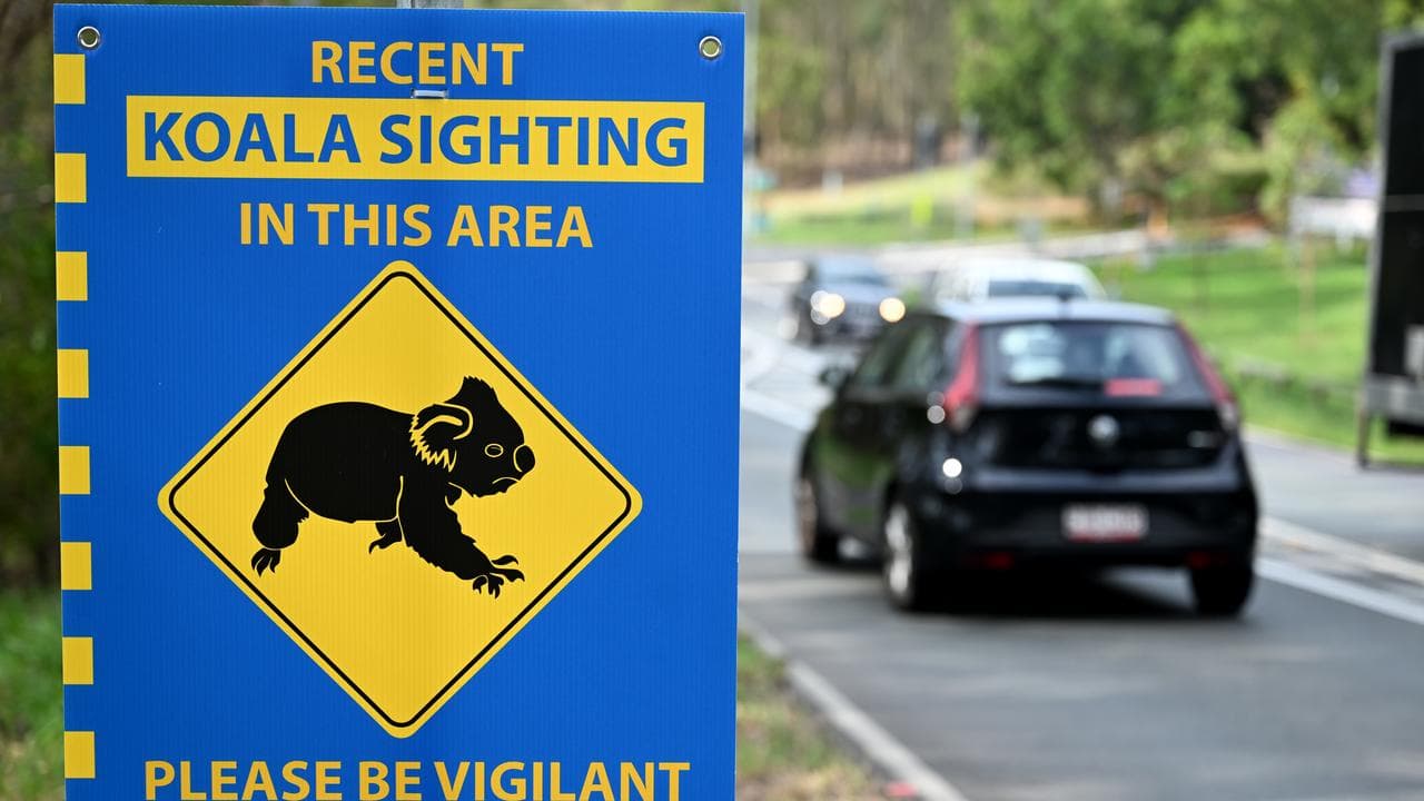 A sign warning motorists to take care to avoid harming koalas.