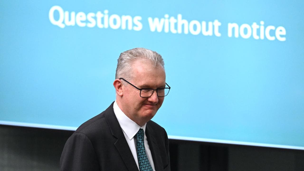Arts Minister Tony Burke (file image)